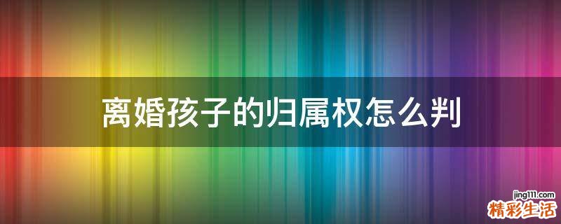 离婚孩子的归属权怎么判