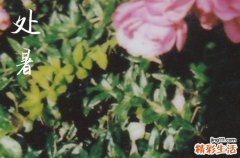 2023年处暑准确时间 2023年处暑时间几点几分几秒