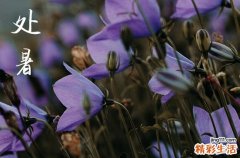 2023处暑生的孩子好不好 2023处暑时节出生的宝宝命运