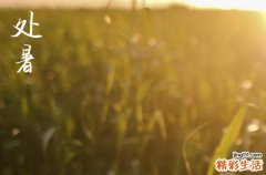 2023处暑后天气还热吗 2023处暑过后还要热多久