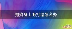 狗狗身上毛打结怎么办