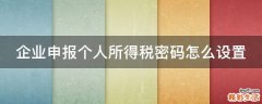 企业申报个人所得税密码怎么设置