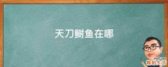 天刀鲥鱼在哪