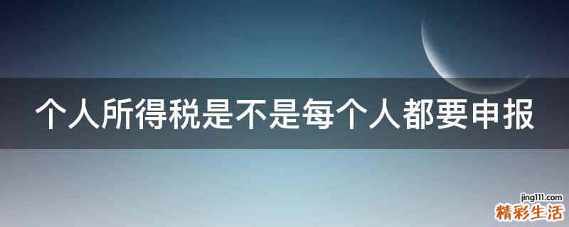 个人所得税是不是每个人都要申报