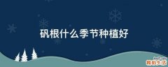 矾根什么季节种植好