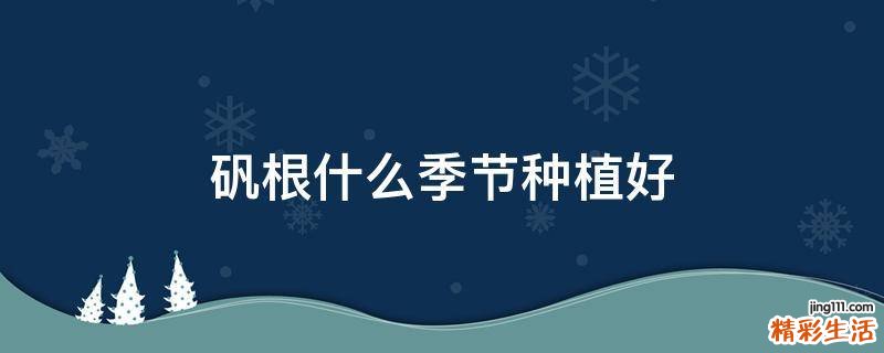 矾根什么季节种植好
