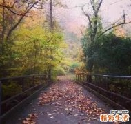 如何去除除痘印？7个妙计轻松搞定