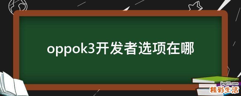 oppok3开发者选项在哪