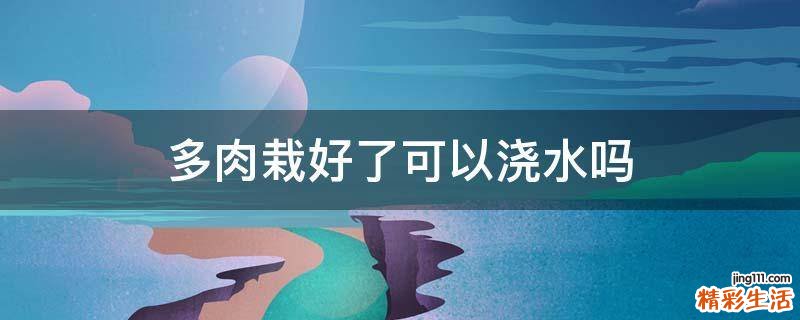 多肉栽好了可以浇水吗