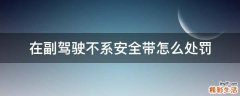 在副驾驶不系安全带怎么处罚