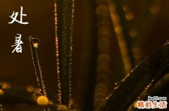 2023年处暑是哪一天 处暑是夏季还是秋季