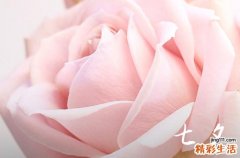 2023七夕发朋友圈的经典句子 闽南七夕节吃什么