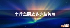 十斤鱼要放多少盐腌制