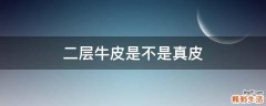 二层牛皮是不是真皮