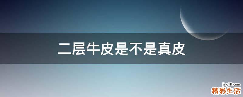二层牛皮是不是真皮