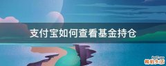 支付宝如何查看基金持仓