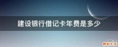 建设银行借记卡年费是多少