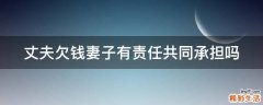 丈夫欠钱妻子有责任共同承担吗