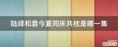 陆绎和袁今夏同床共枕是哪一集