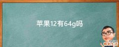 苹果12有64g吗