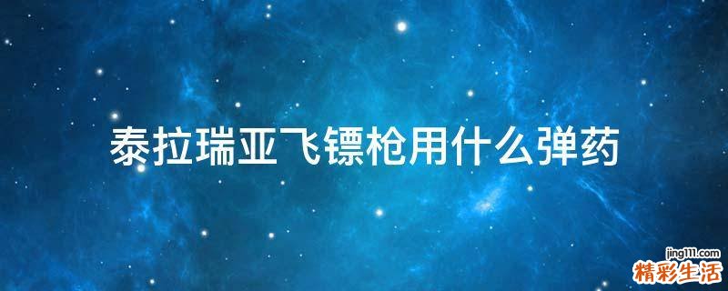 泰拉瑞亚飞镖枪用什么弹药