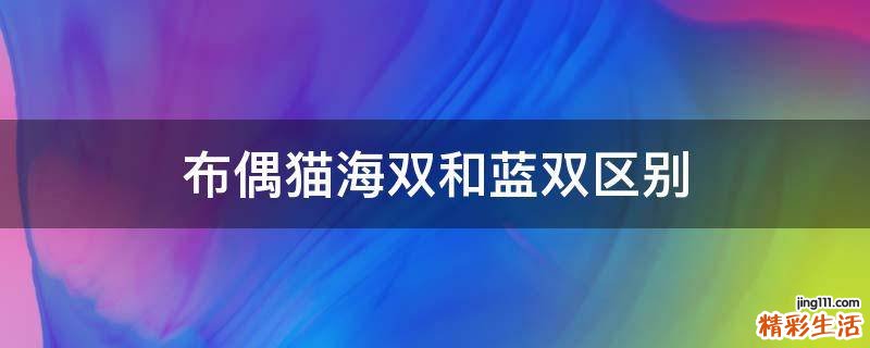 布偶猫海双和蓝双区别