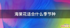 海棠花适合什么季节种