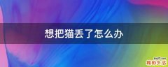 想把猫丢了怎么办