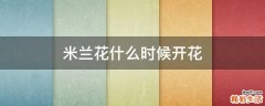 米兰花什么时候开花
