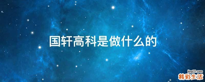 国轩高科是做什么的