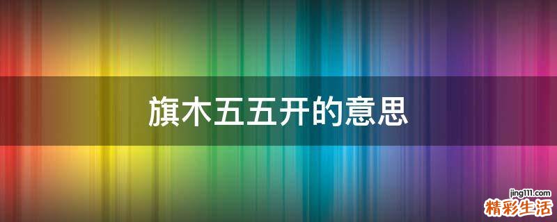 旗木五五开的意思