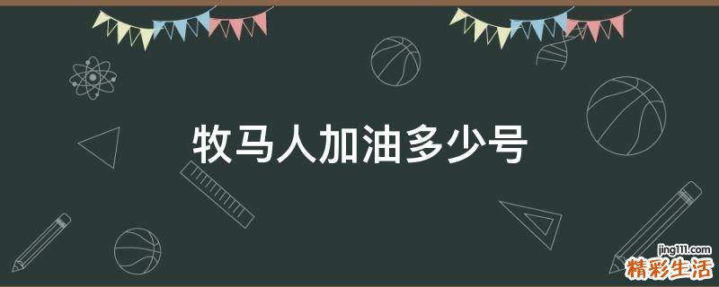 牧马人加油多少号