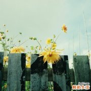 哺乳期能烫发吗?新妈妈需要三思而后行