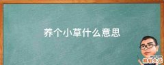 养个小草什么意思
