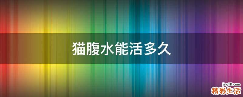 猫腹水能活多久