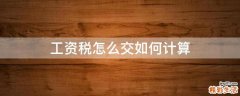 工资税怎么交如何计算