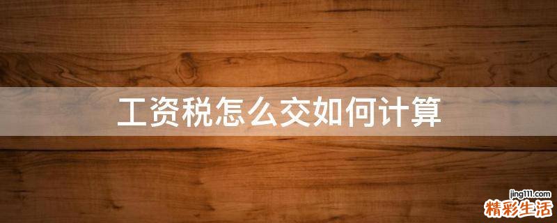 工资税怎么交如何计算