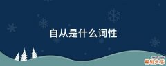 自从是什么词性