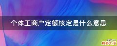 个体工商户定额核定是什么意思