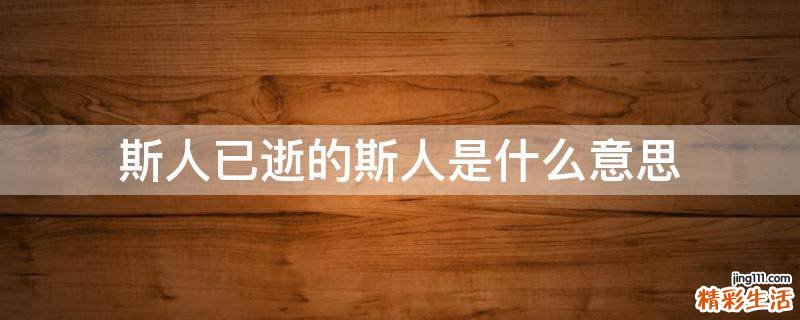 斯人已逝的斯人是什么意思