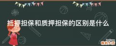 抵押担保和质押担保的区别是什么