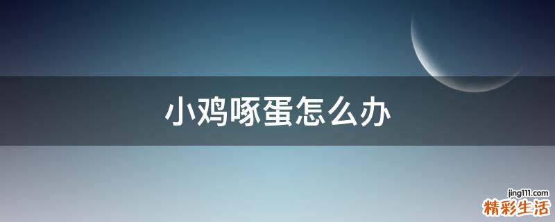 小鸡啄蛋怎么办