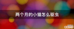 两个月的小猫怎么驱虫