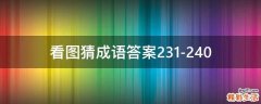 看图猜成语答案231-240