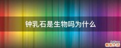 钟乳石是生物吗为什么