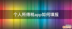 个人所得税app如何填报