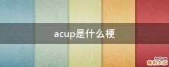 acup是什么梗