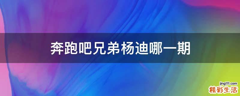奔跑吧兄弟杨迪哪一期