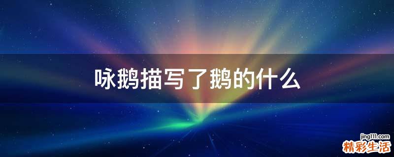 咏鹅描写了鹅的什么