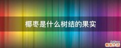椰枣是什么树结的果实